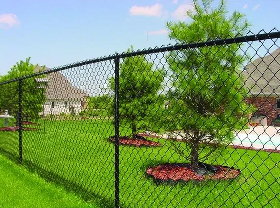 Pool Fence Design Trends For Florida Homeowners In 2026
