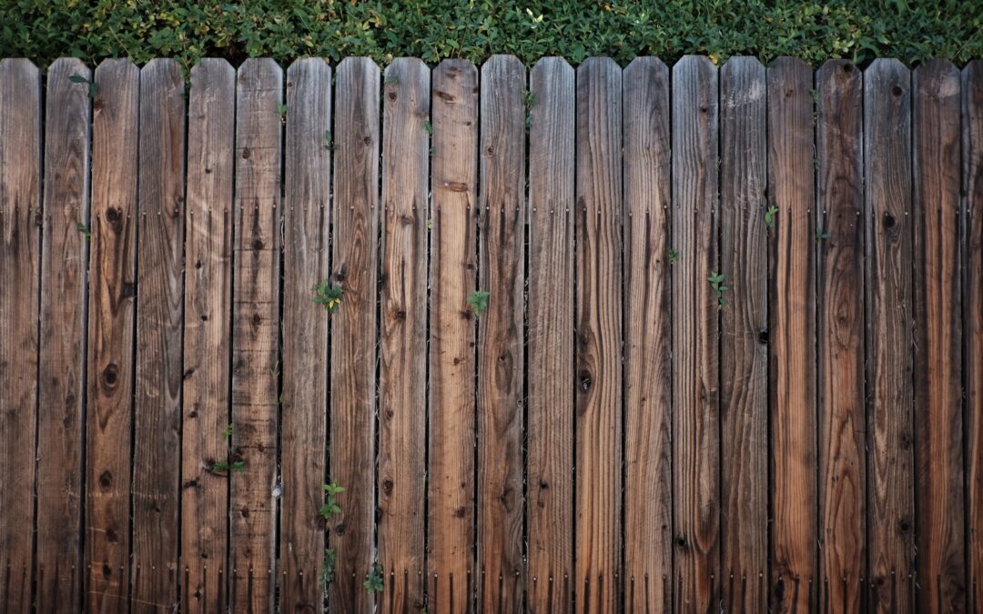 Types of fence for your home