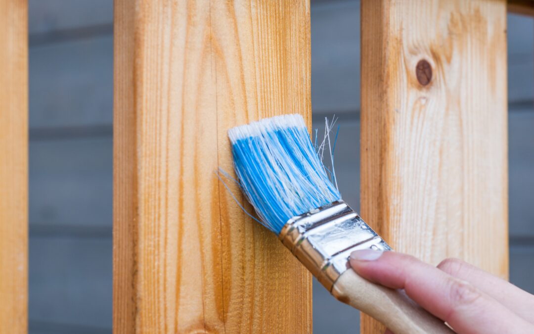 When should you stain a new fence in Florida?
