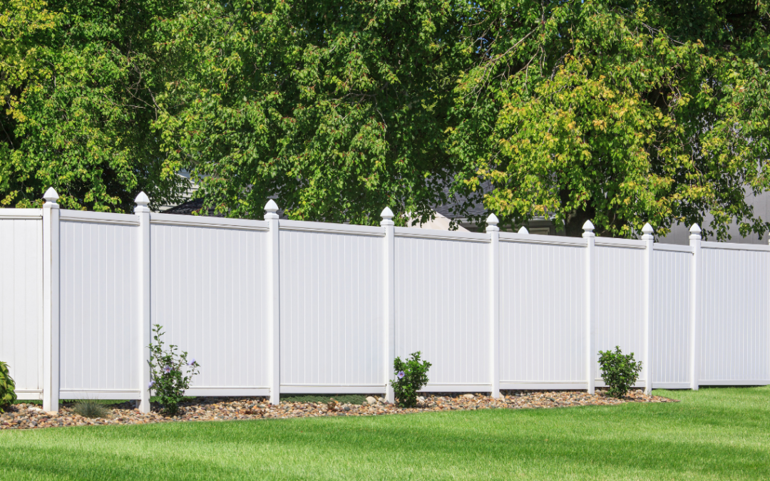 Are Vinyl Fences A Great Option For Dog Fences In Florida? 