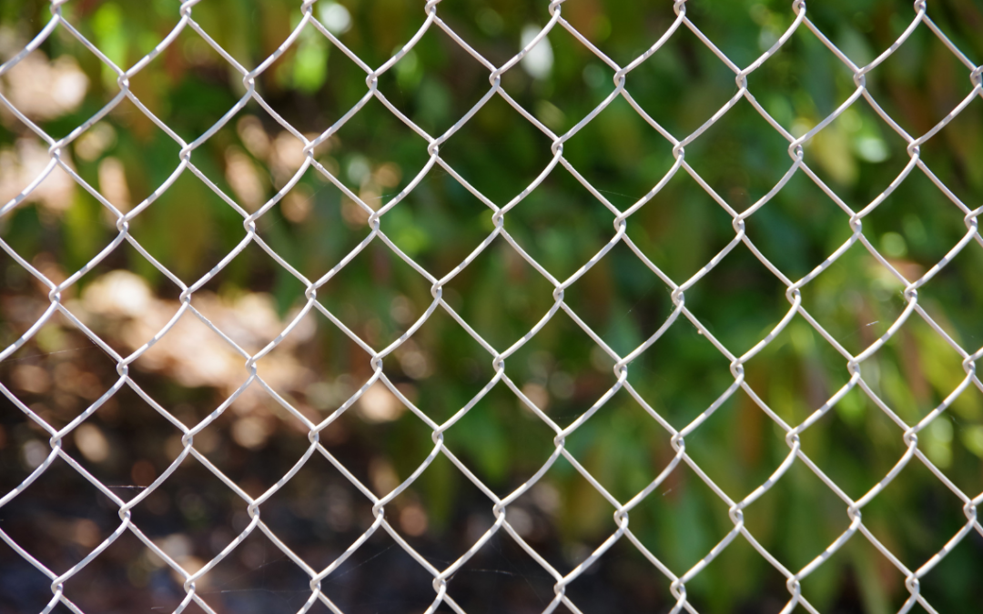 Most Popular Chain Link Fence Colors For Florida Homeowners